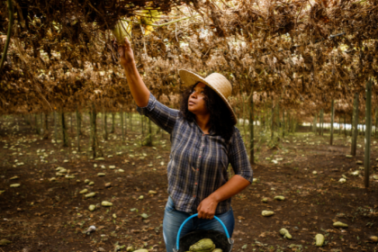 Construindo uma Visão Sustentável do Campo e do Bem‑Viver no Brasil