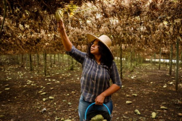 Construindo uma Visão Sustentável do Campo e do Bem‑Viver no Brasil