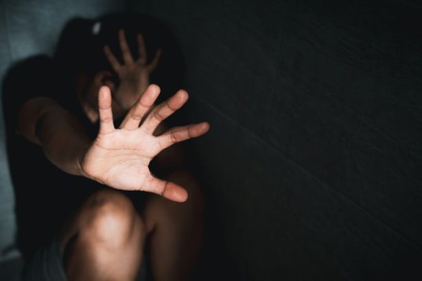 Estudantes do IFCE Desenvolvem Dispositivo de Baixo Custo para Denunciar Violência Contra a Mulher